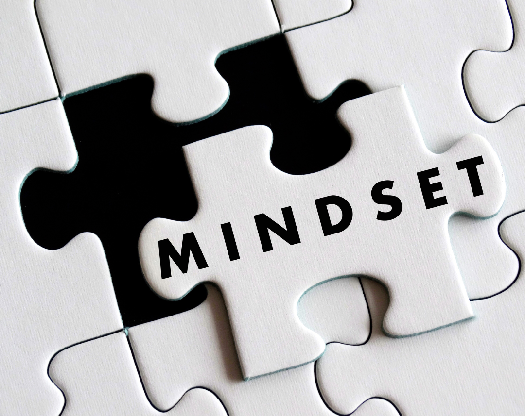 Cultivando um Mindset de Crescimento para Alcançar o Sucesso no Marketing Digital